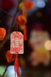 6 điều cần biết về cửa xỉu
